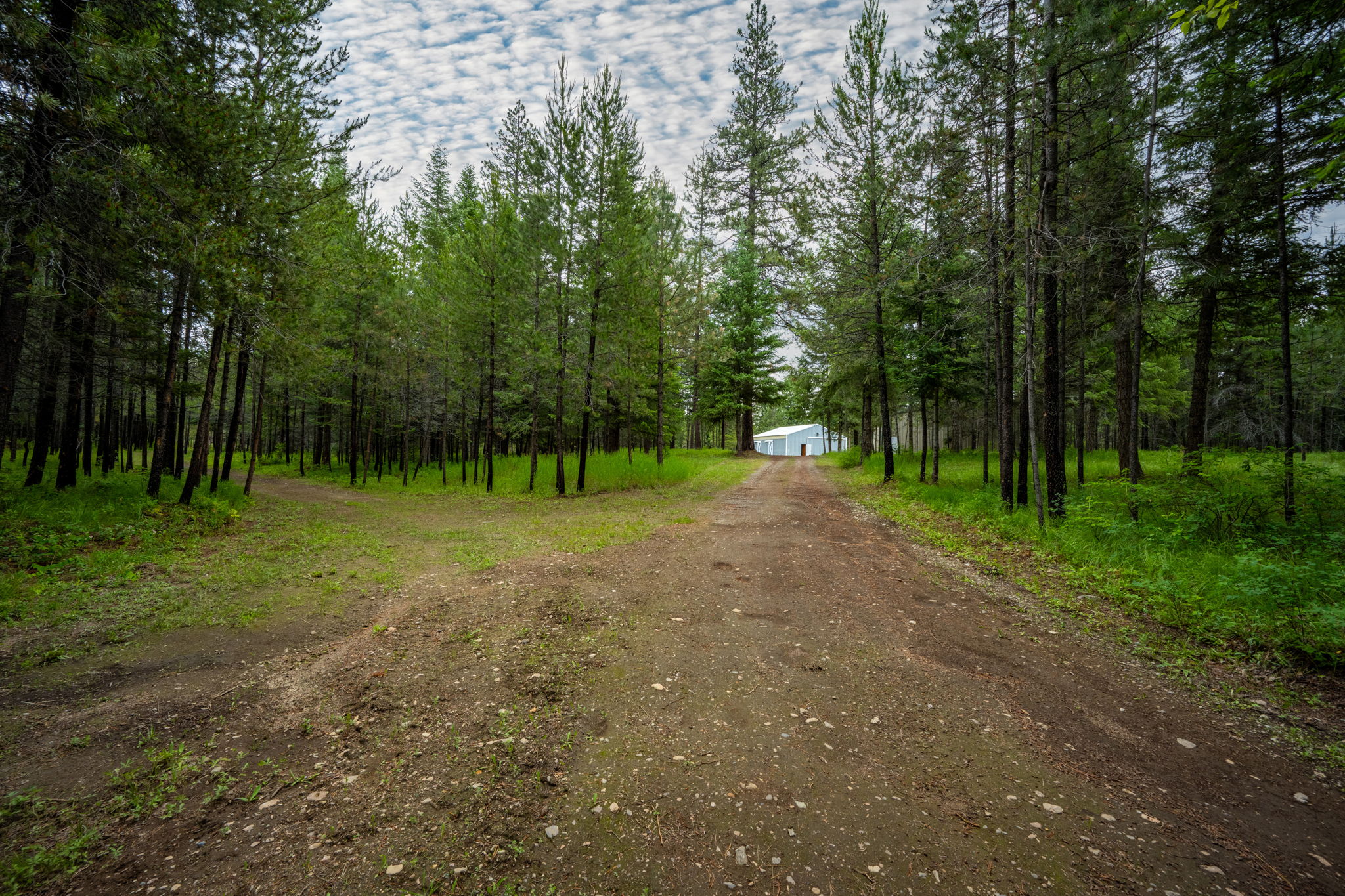  Photo 46