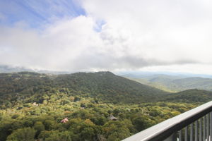 IMG_8653