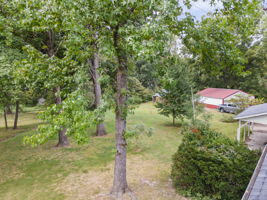  Photo 38