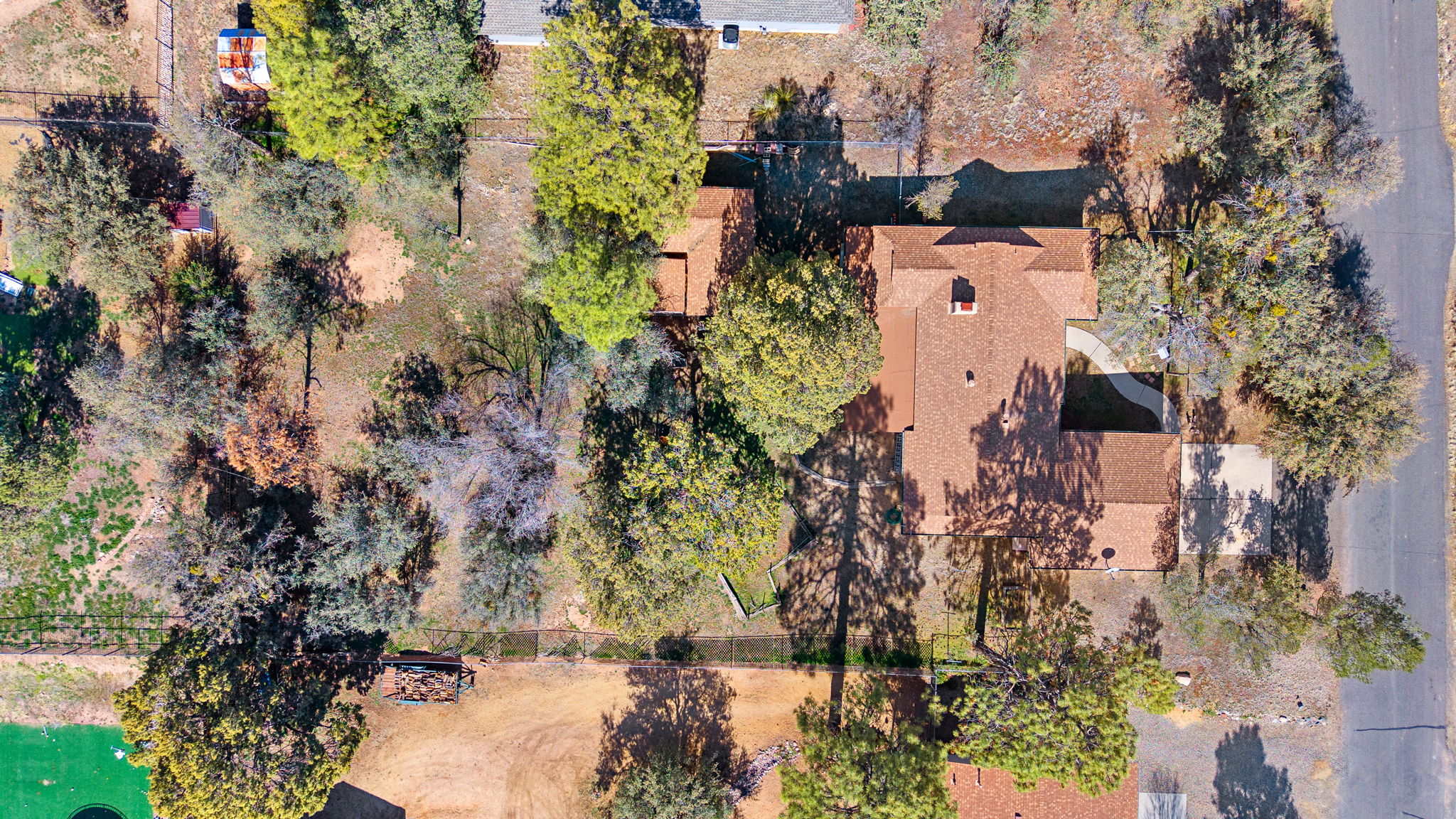 Birds Eye