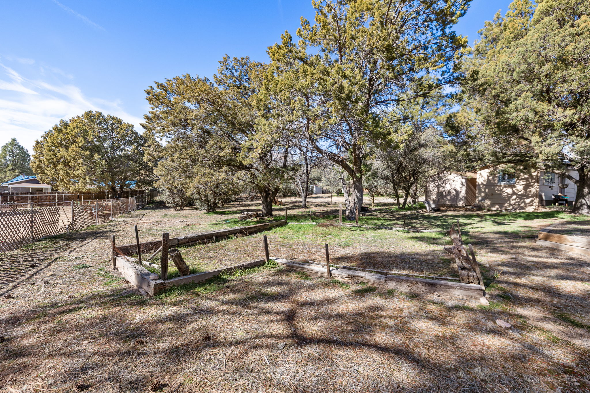 Yard (2)