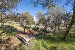 Foot bridge crosses the seasonal stream
