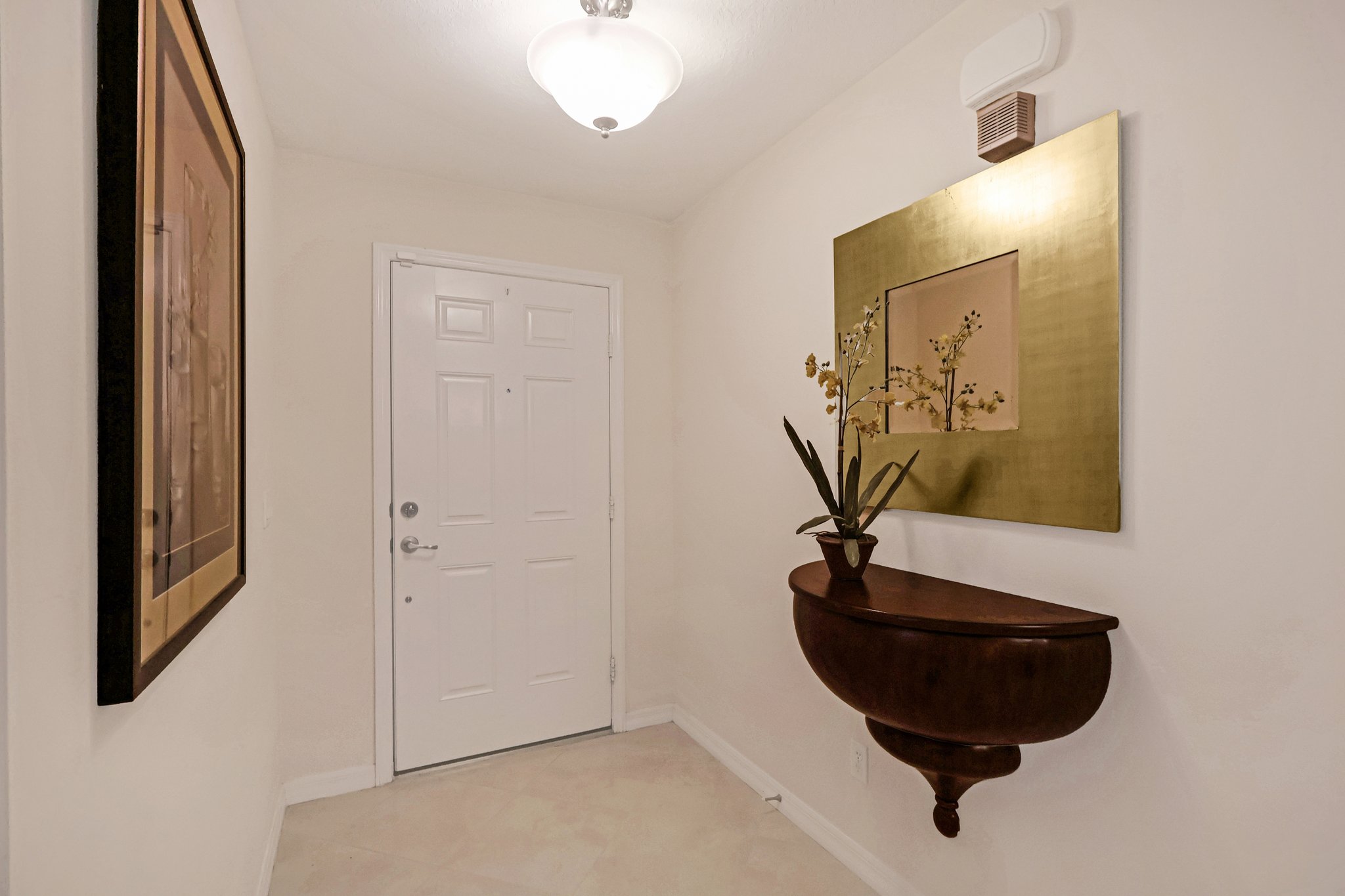 Lipizzan Ter-S2703-006.jpg