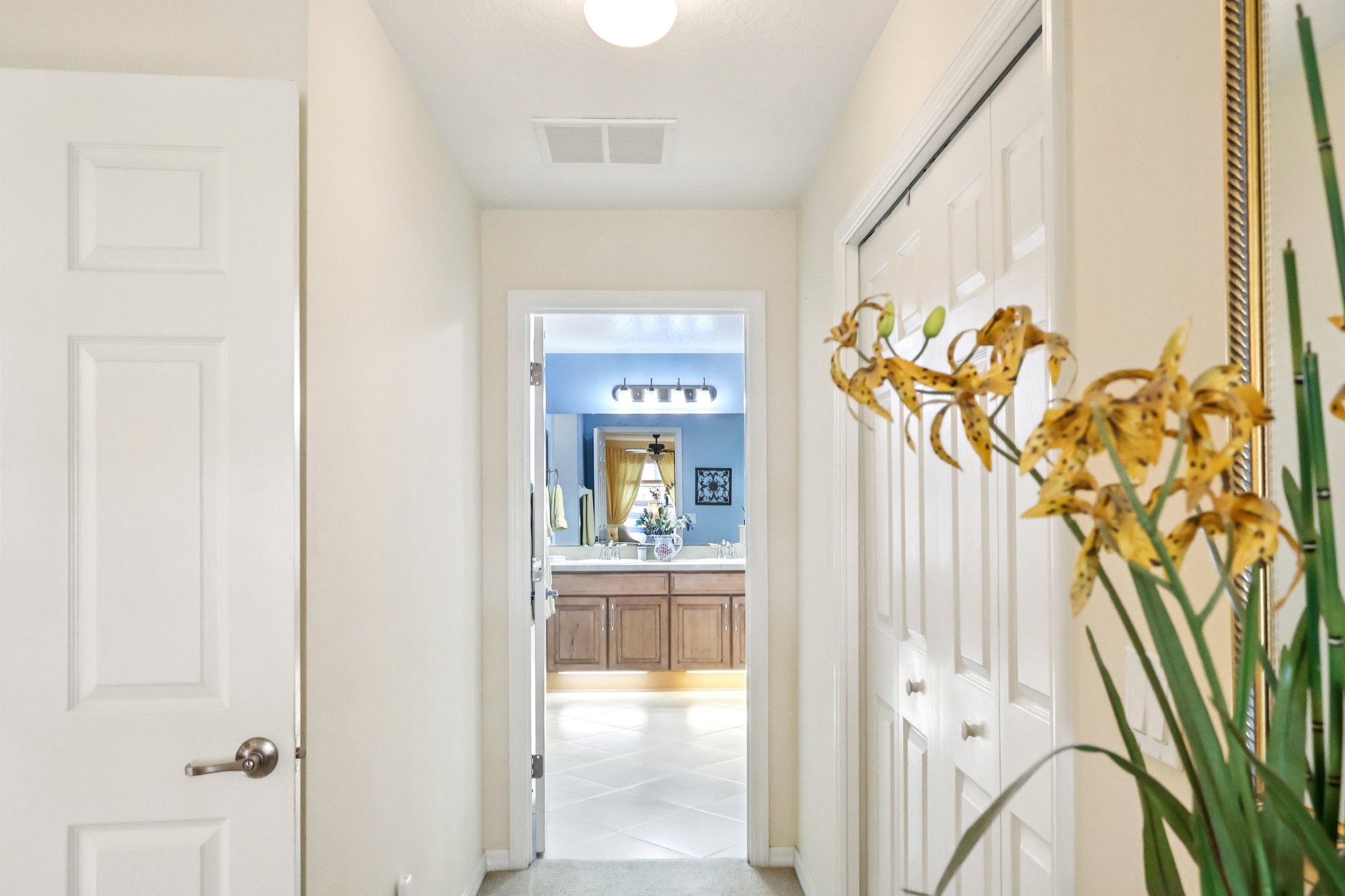 Lipizzan Ter-S2703-023.jpg