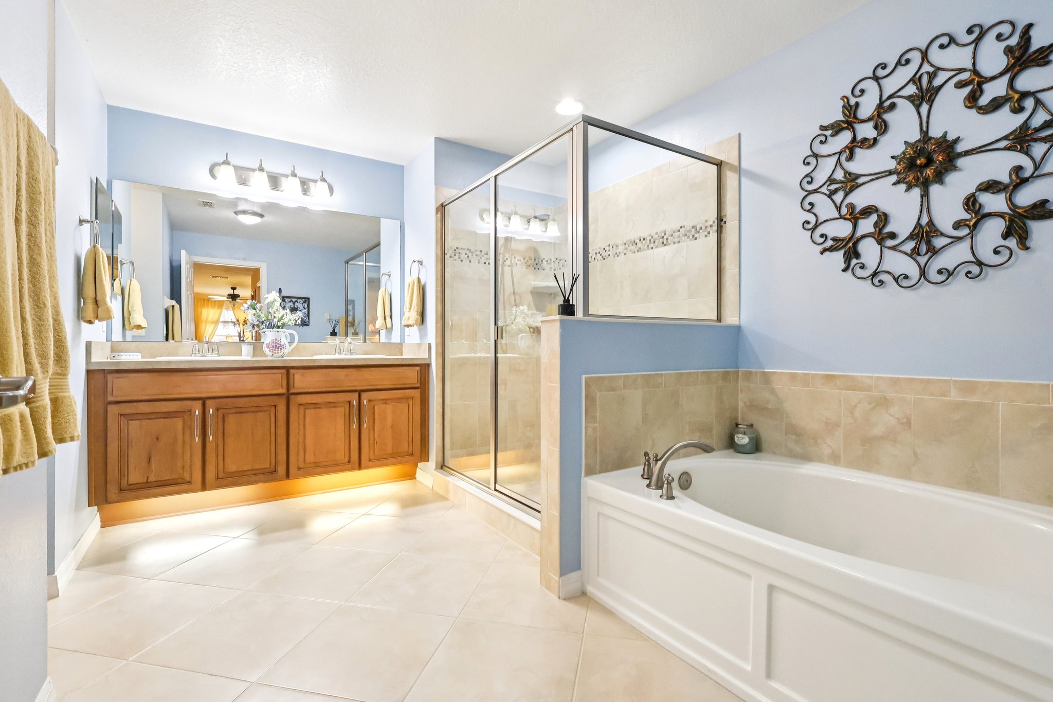 Lipizzan Ter-S2703-024.jpg