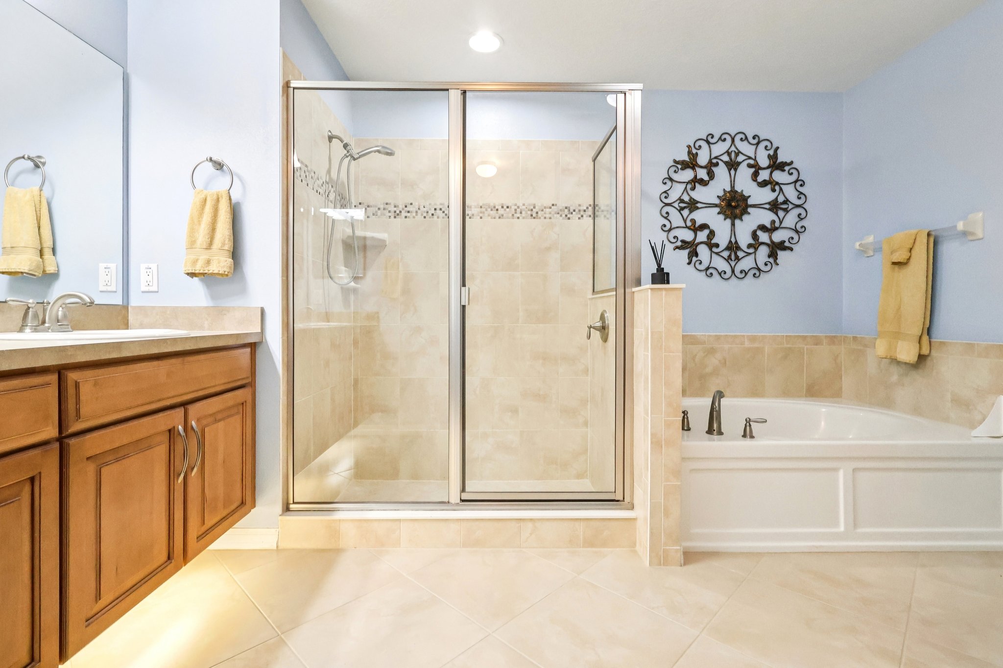 Lipizzan Ter-S2703-025.jpg