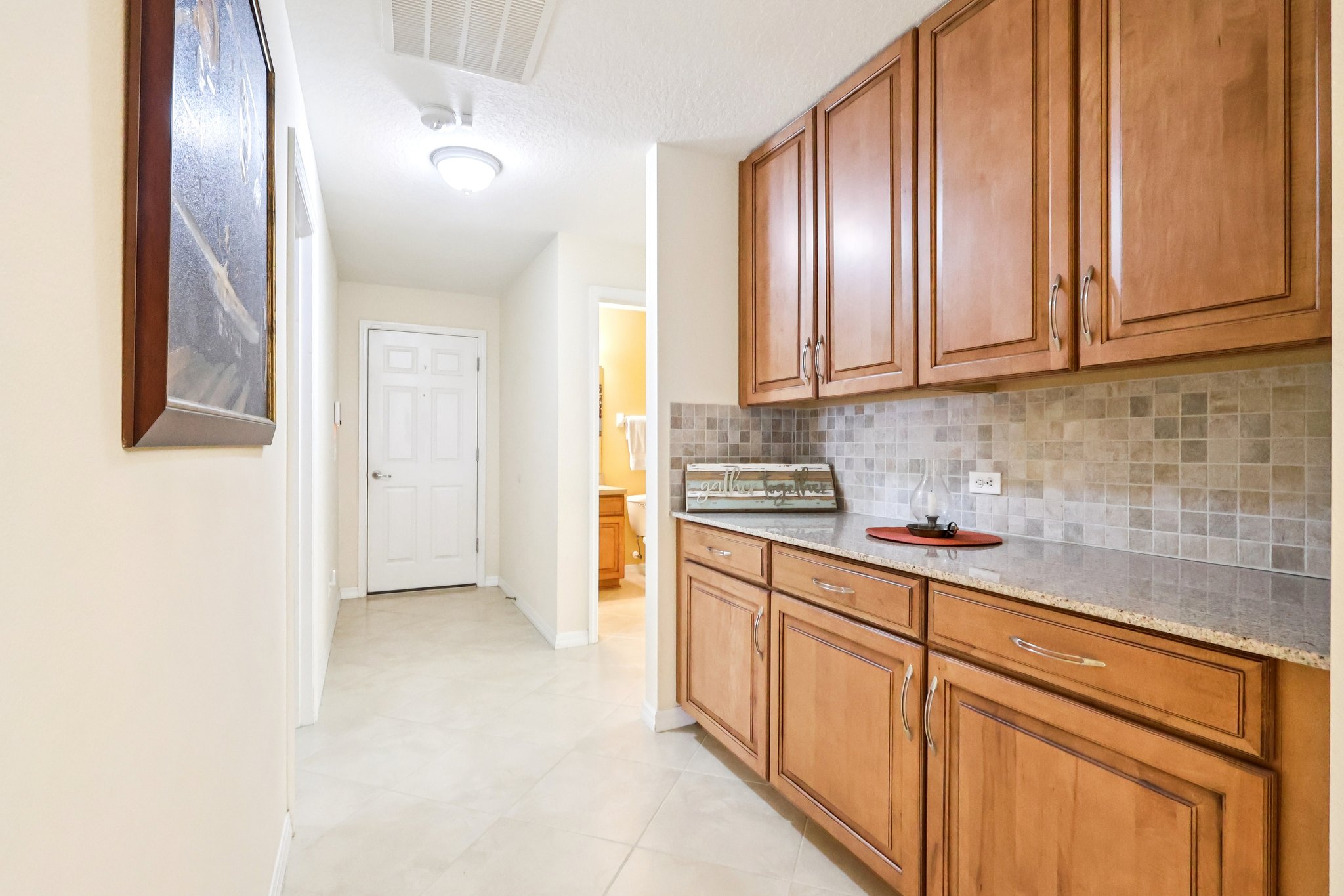 Lipizzan Ter-S2703-026.jpg