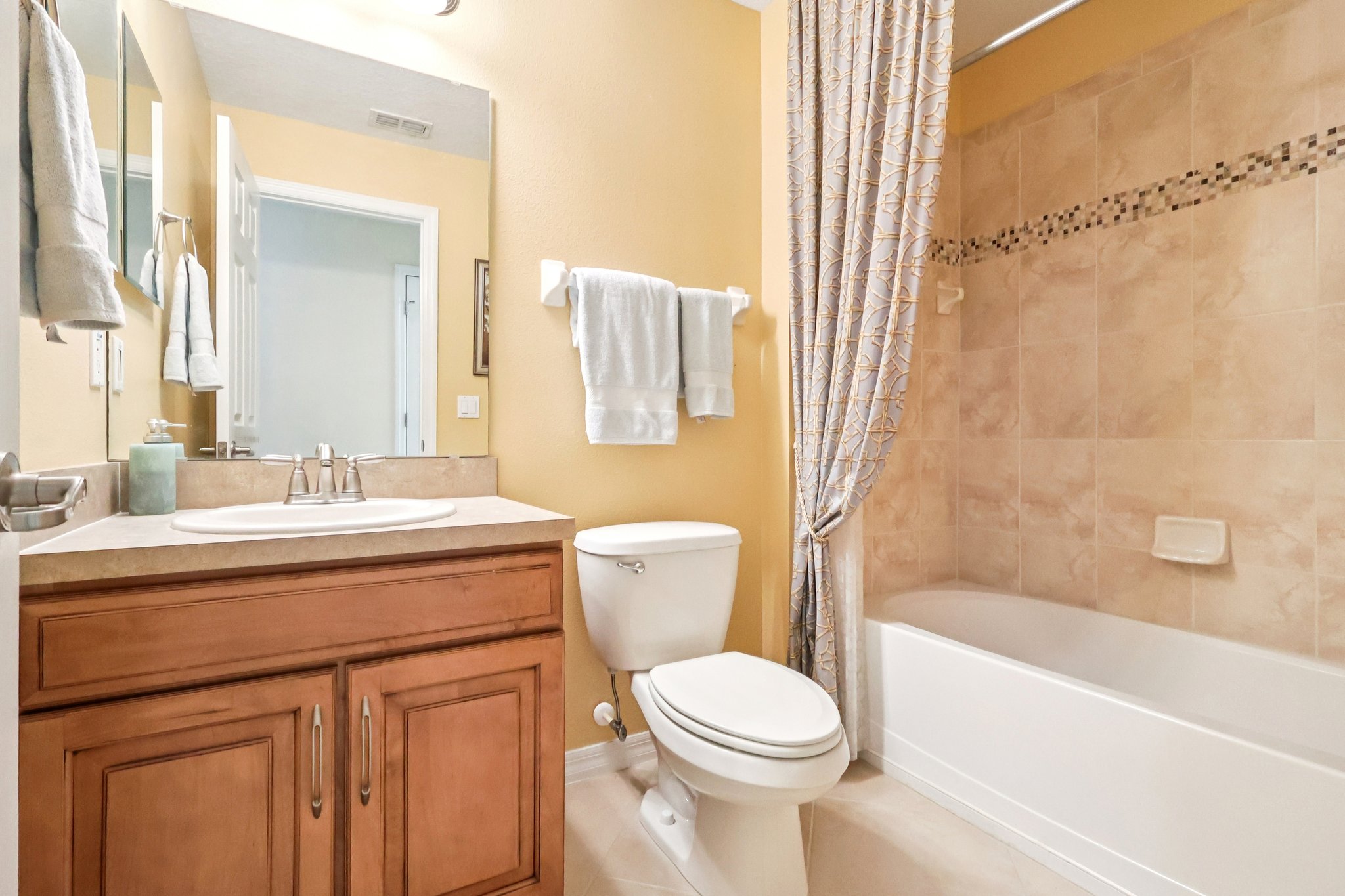 Lipizzan Ter-S2703-028.jpg