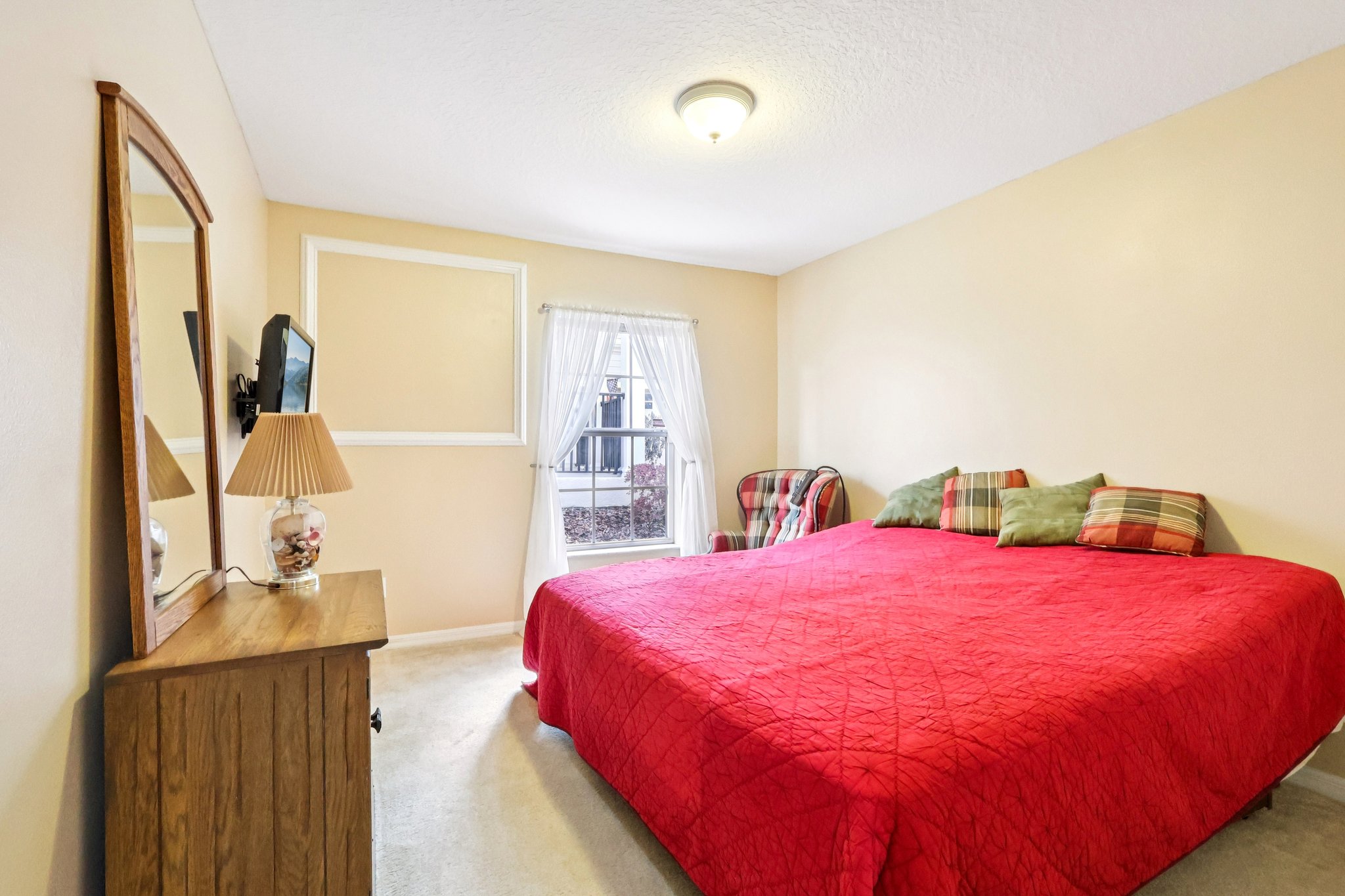 Lipizzan Ter-S2703-029.jpg