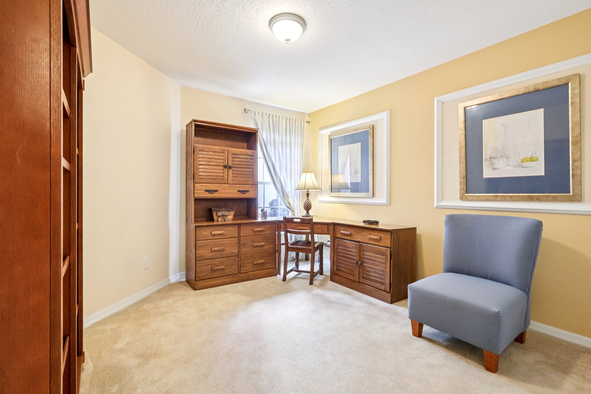 Lipizzan Ter-S2703-031.jpg