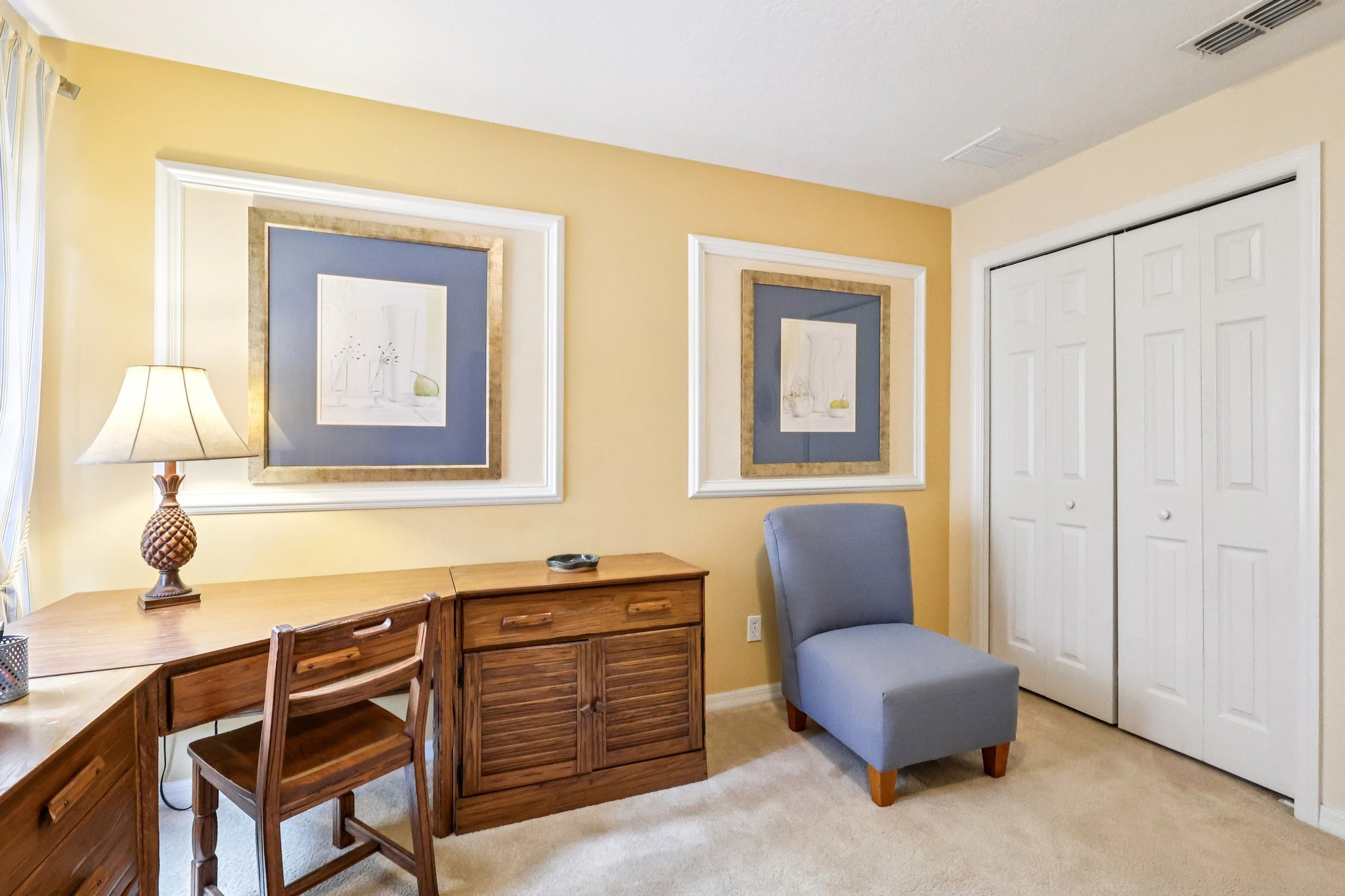 Lipizzan Ter-S2703-033.jpg