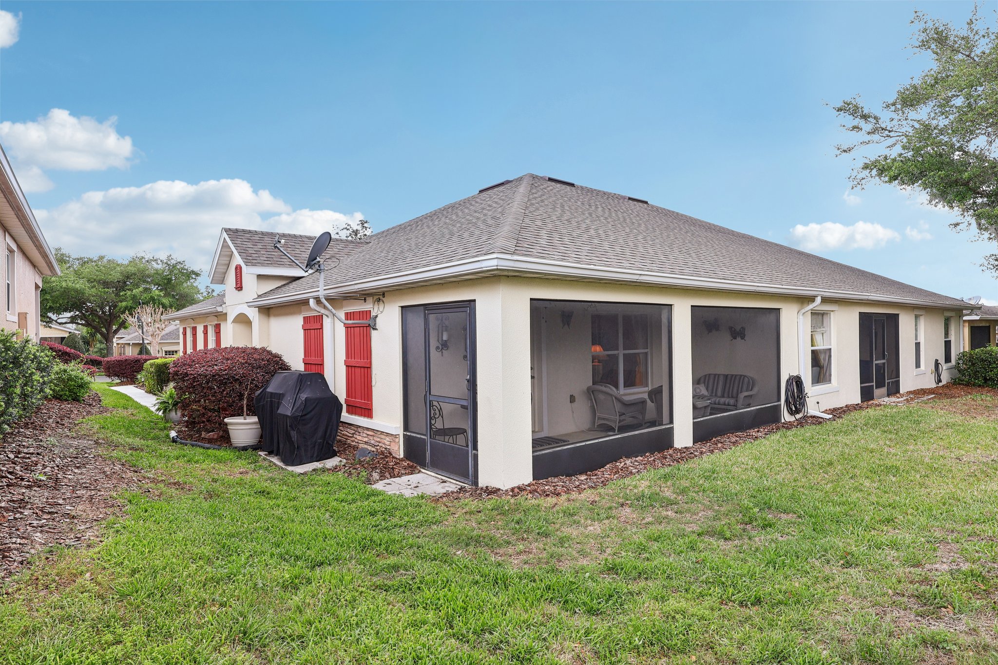 Lipizzan Ter-S2703-037.jpg