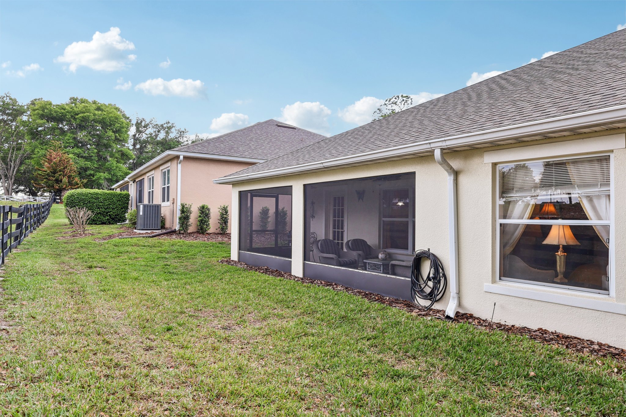 Lipizzan Ter-S2703-038.jpg