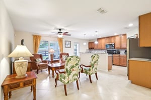 Lipizzan Ter-S2703-008.jpg