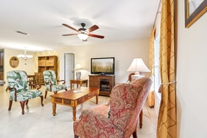 Lipizzan Ter-S2703-010.jpg