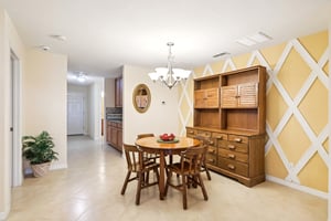 Lipizzan Ter-S2703-011.jpg