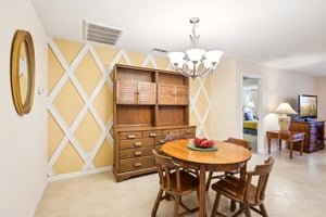 Lipizzan Ter-S2703-012.jpg