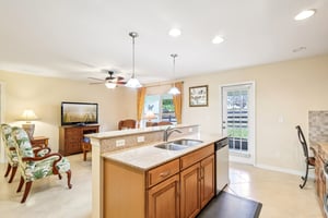 Lipizzan Ter-S2703-014.jpg