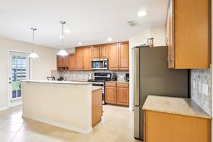 Lipizzan Ter-S2703-015.jpg