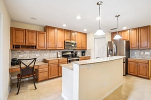 Lipizzan Ter-S2703-017.jpg