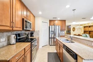 Lipizzan Ter-S2703-018.jpg