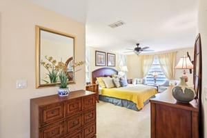 Lipizzan Ter-S2703-019.jpg