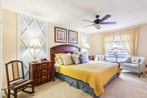 Lipizzan Ter-S2703-021.jpg