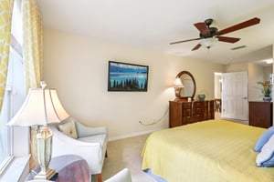 Lipizzan Ter-S2703-022.jpg