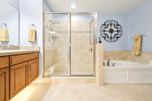 Lipizzan Ter-S2703-025.jpg