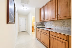 Lipizzan Ter-S2703-026.jpg