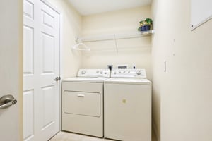 Lipizzan Ter-S2703-027.jpg