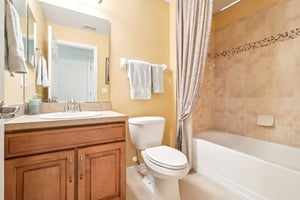 Lipizzan Ter-S2703-028.jpg