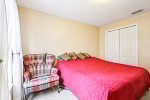 Lipizzan Ter-S2703-030.jpg