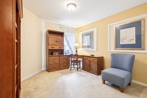 Lipizzan Ter-S2703-031.jpg