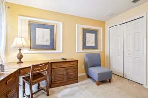 Lipizzan Ter-S2703-032.jpg