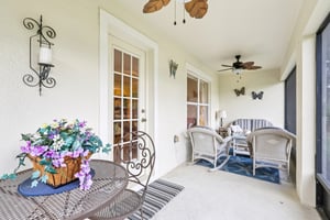 Lipizzan Ter-S2703-034.jpg