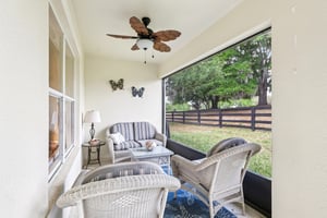 Lipizzan Ter-S2703-035.jpg