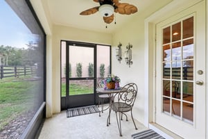 Lipizzan Ter-S2703-036.jpg