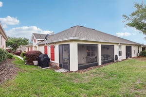 Lipizzan Ter-S2703-037.jpg