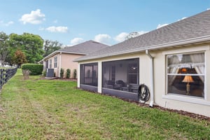 Lipizzan Ter-S2703-038.jpg