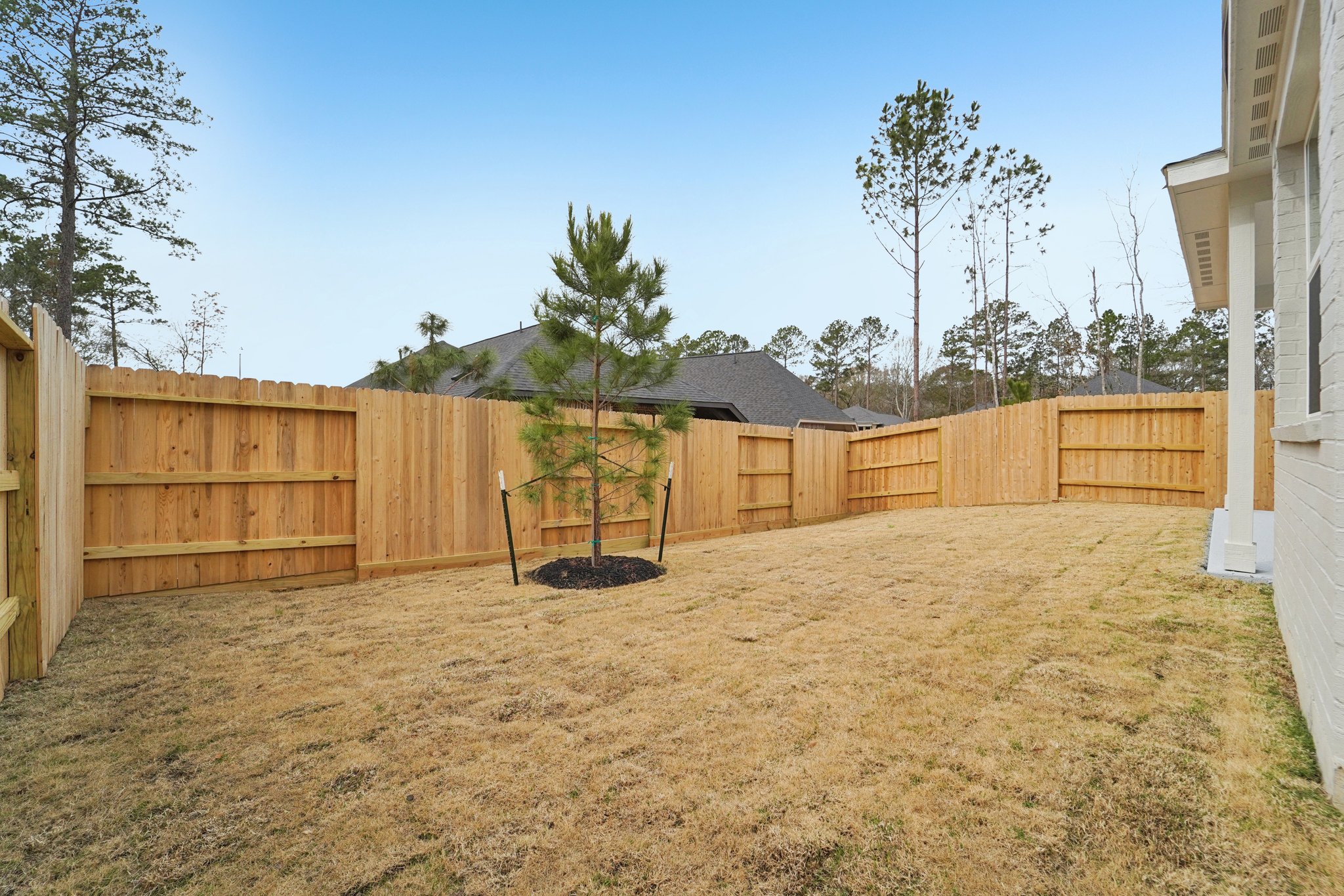 Ruby Frst Ct-S1102-051.jpg