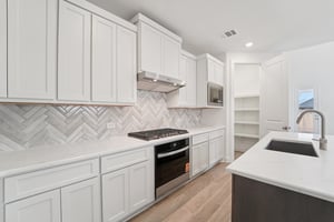 Ruby Frst Ct-S1102-018.jpg