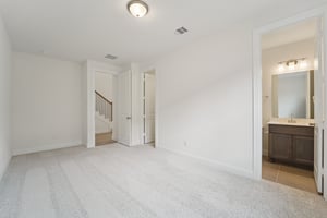 Ruby Frst Ct-S1102-021.jpg