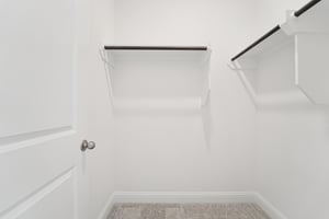 Ruby Frst Ct-S1102-022.jpg