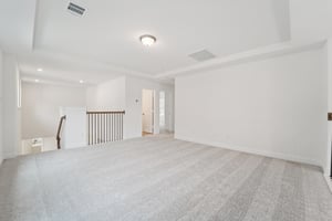 Ruby Frst Ct-S1102-035.jpg