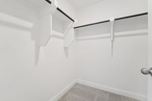 Ruby Frst Ct-S1102-042.jpg