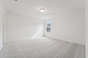 Ruby Frst Ct-S1102-043.jpg