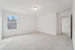 Ruby Frst Ct-S1102-045.jpg