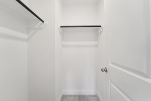 Ruby Frst Ct-S1102-046.jpg