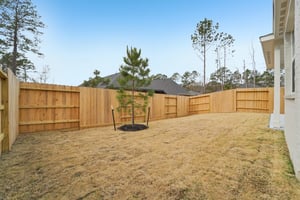 Ruby Frst Ct-S1102-051.jpg